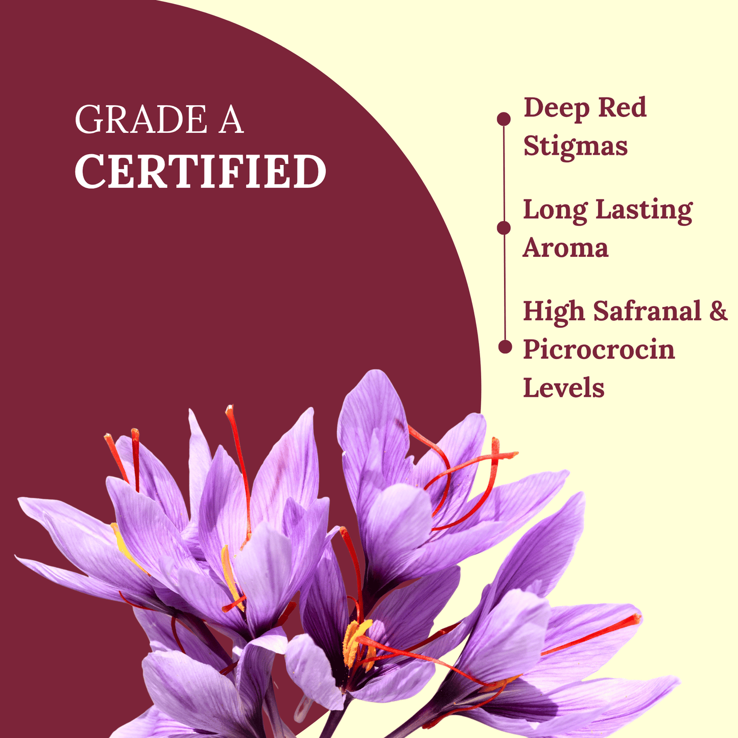 Premium Kashmiri Saffron (Kesar) – 100% Pure & Authentic Saffron